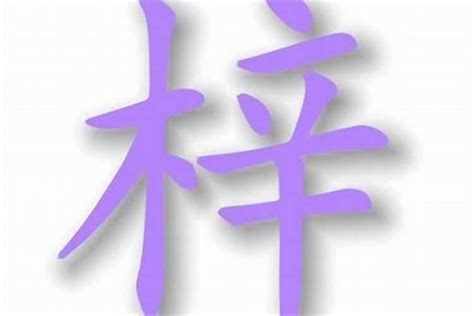 璐名字意思|璐字取名的含义是什么